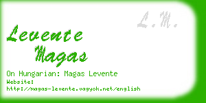 levente magas business card